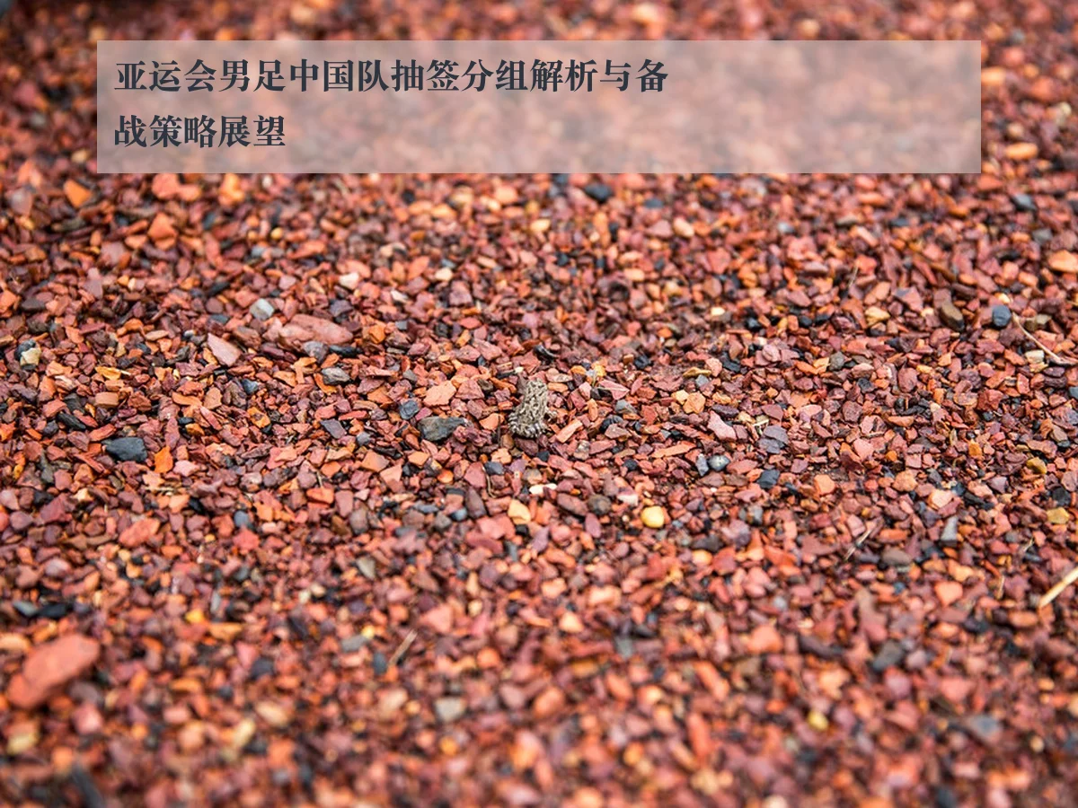 亚运会男足中国队抽签分组解析与备战策略展望（ayxAPP）